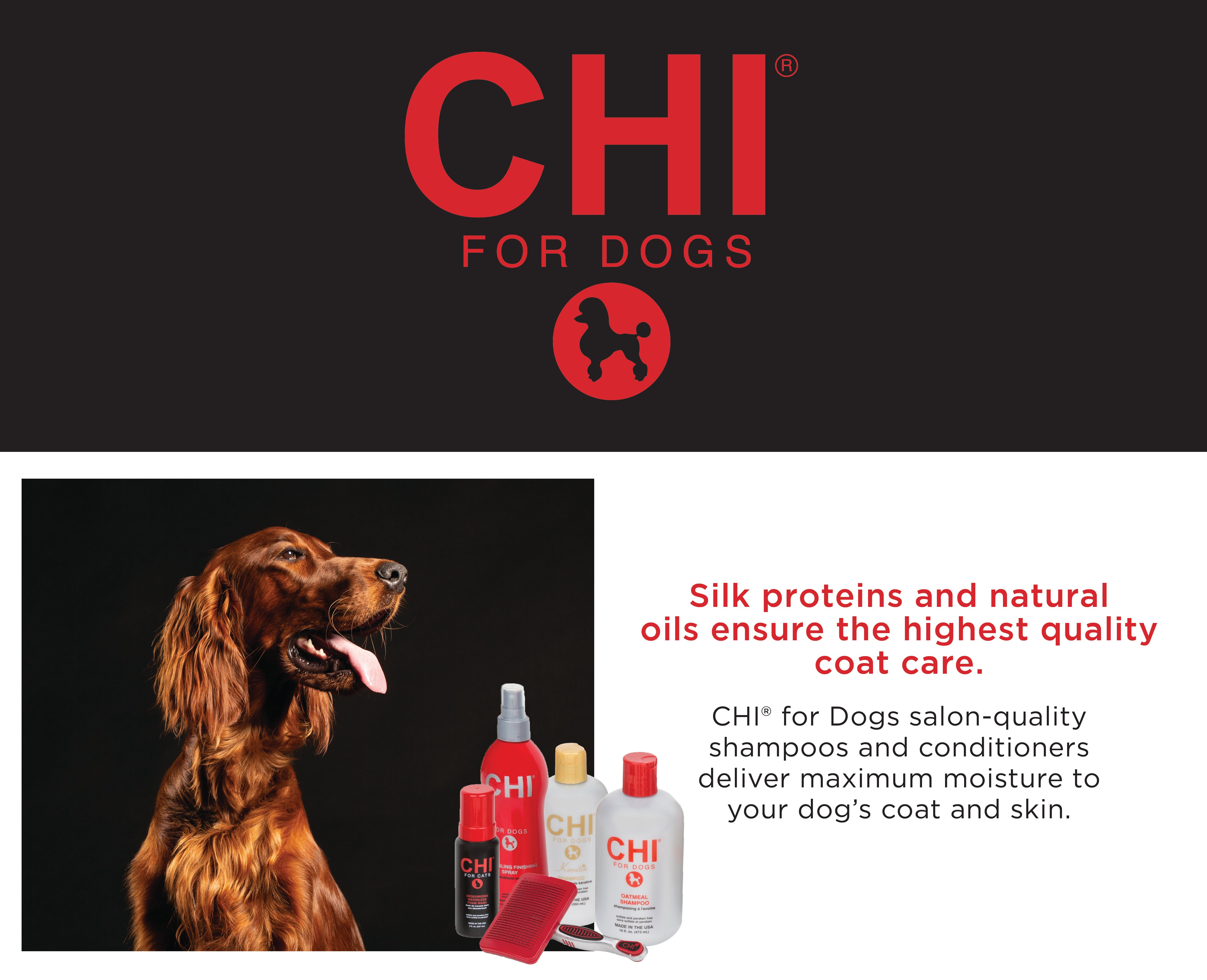 CHI for Dogs