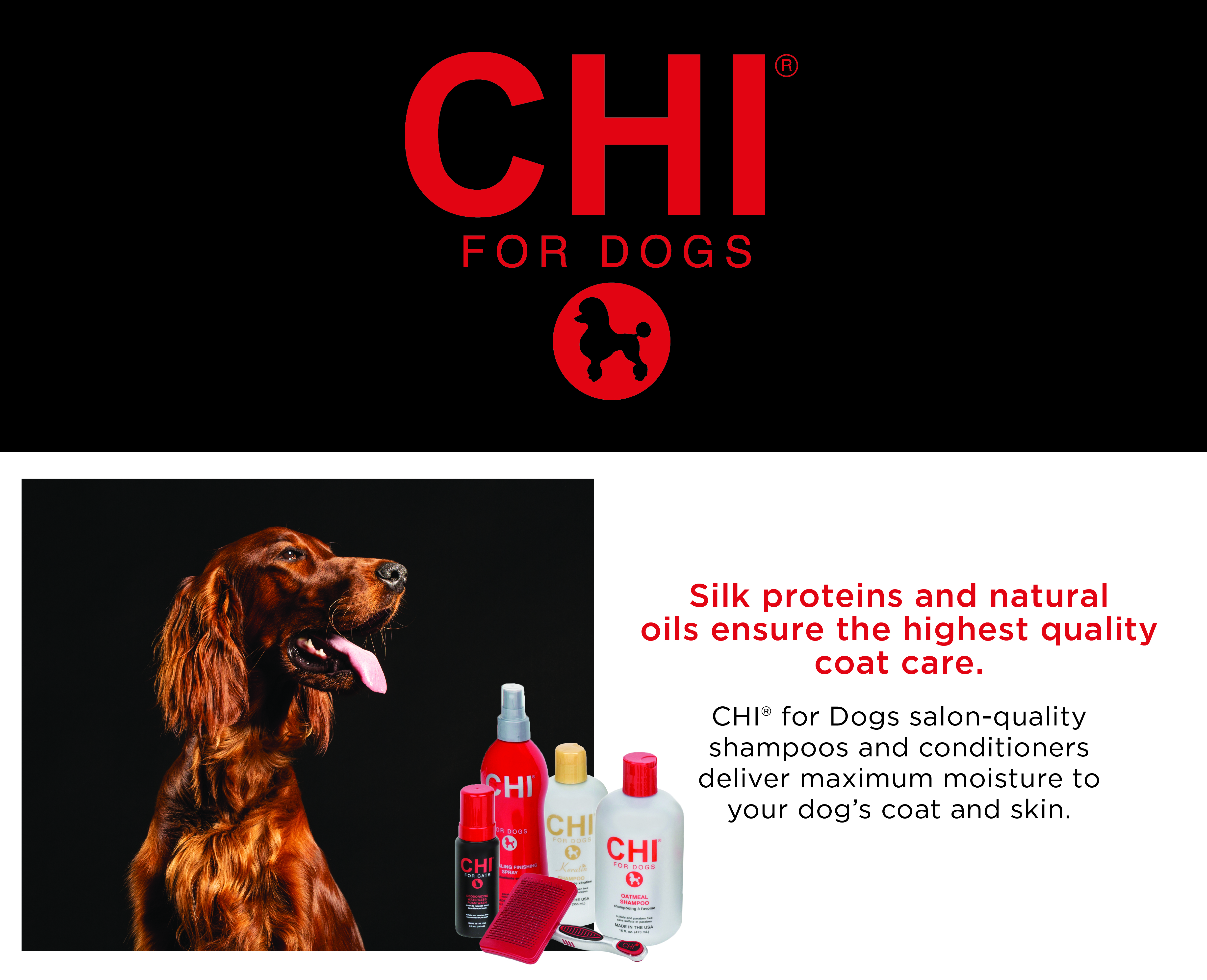 CHI for Dogs