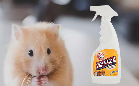 Arm & Hammer