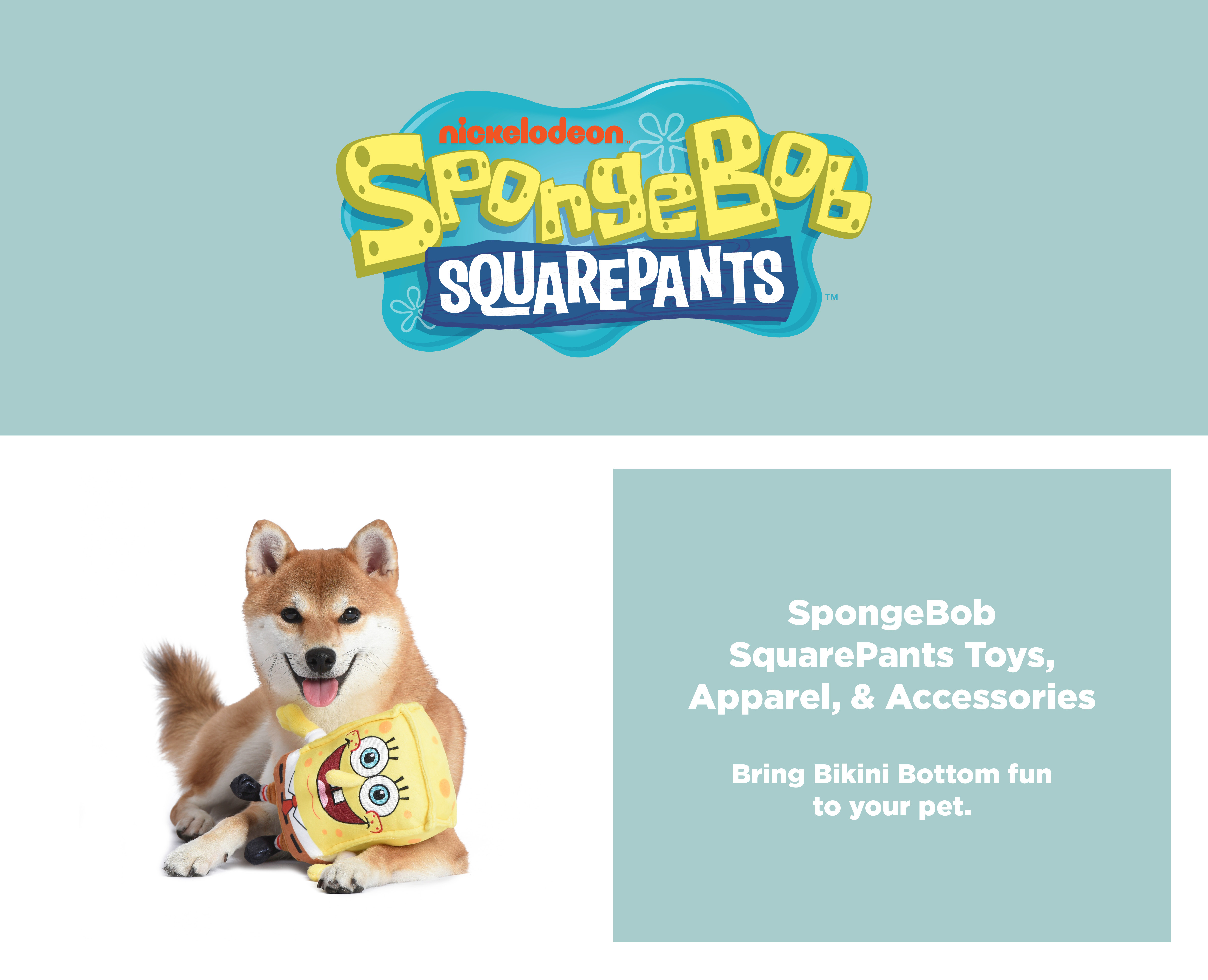SpongeBob SquarePants for Pets
