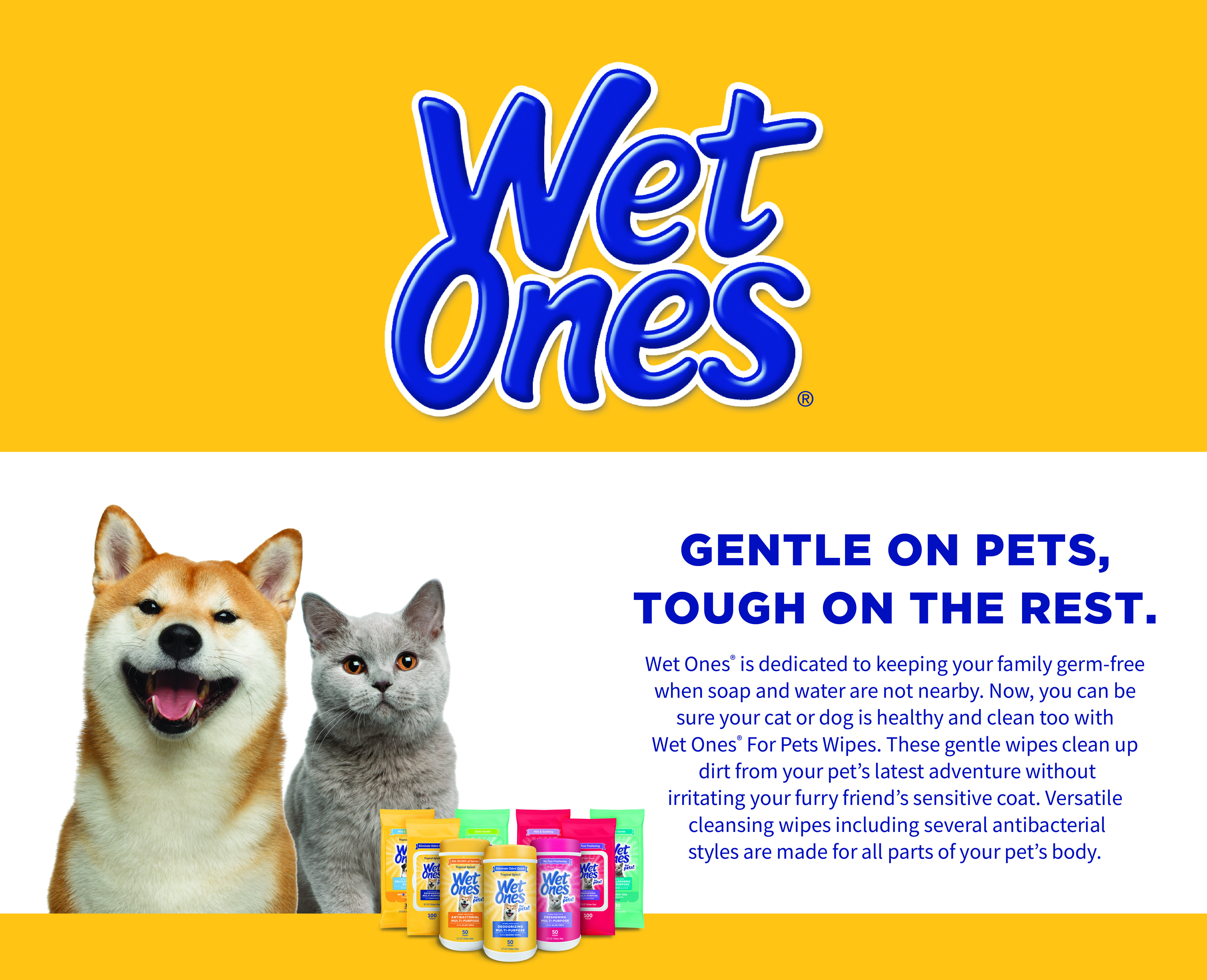 Wet Ones Gentle Puppy Wipe for Dogs - 30 ct pouch, 8 pc PDQ – Fetch for Pets