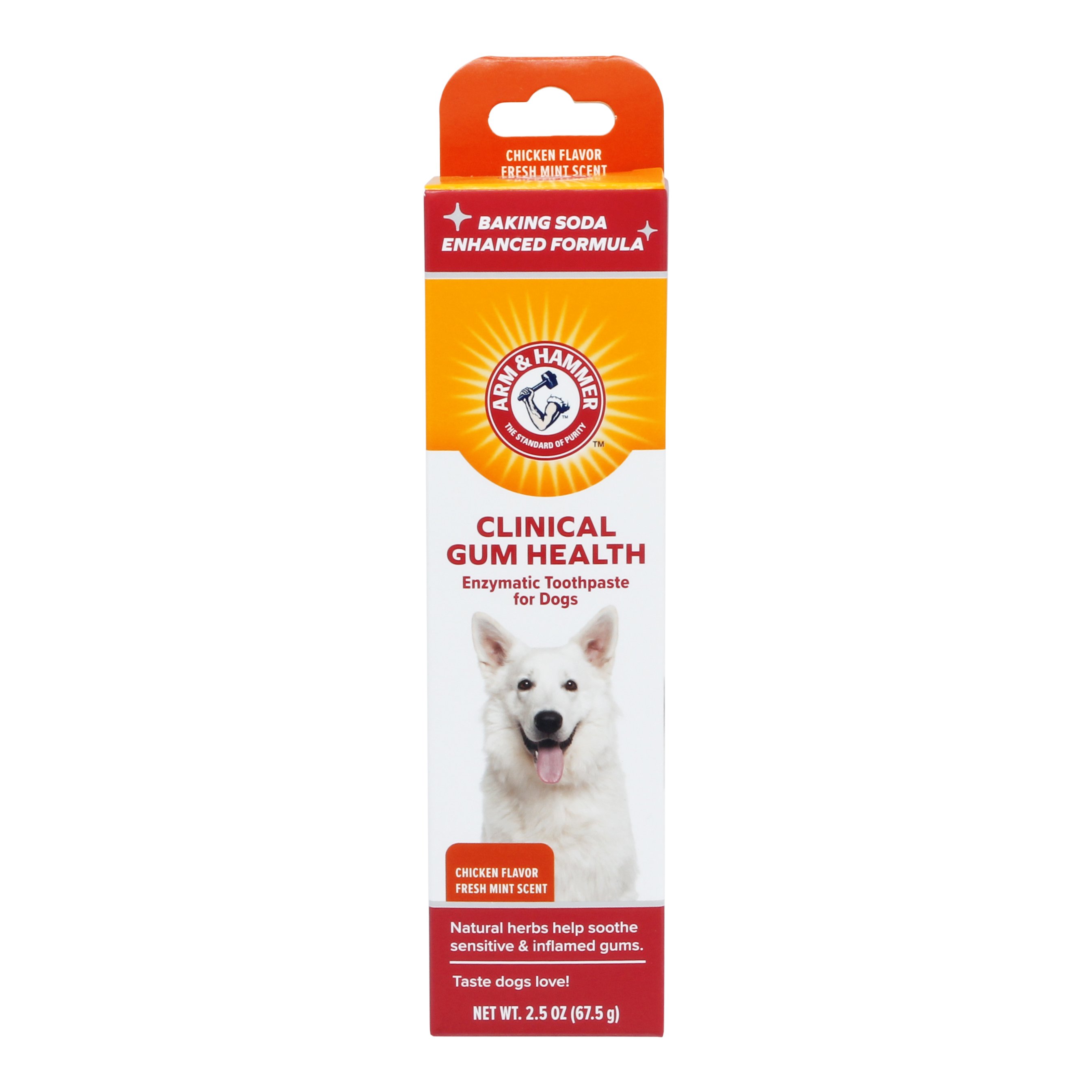 Arm & Hammer Pet Scents 2-Pack Plug-in Scented Oil Refills – Fetch for Pets